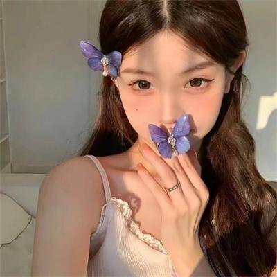 狮子退贼